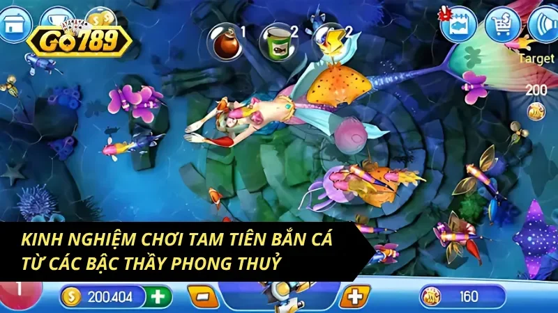 Quét sạch đàn cá nhỏ với kinh nghiệm bất bại
